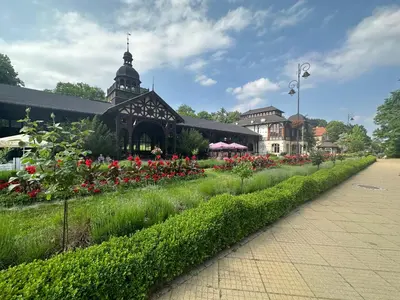 Ogród w obiekcie Emerald Apartament przy deptaku