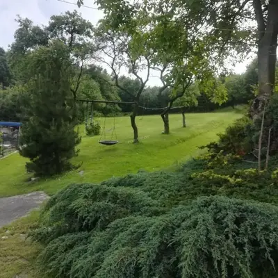 Agroturystyka pod lasem