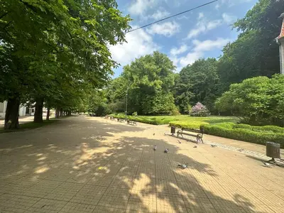 Ogród w obiekcie Sukces Apartament przy deptaku