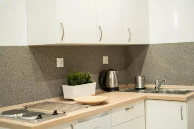 Kuchnia lub aneks kuchenny w obiekcie Apartamenty GoszóWita