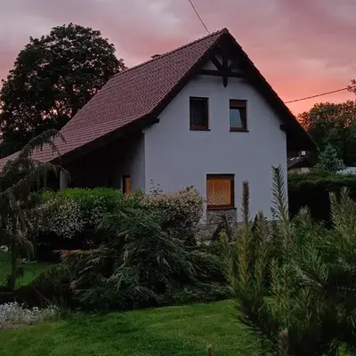 Pod klonem z Balią i Sauną