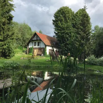 Przyroda w pobliżu tej willi