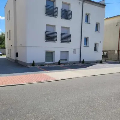 Paloma11
