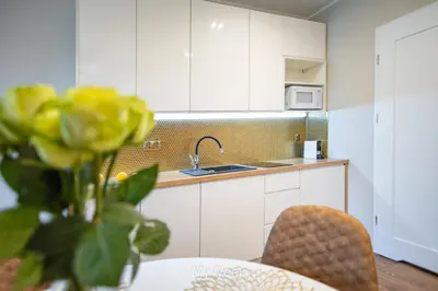 Kuchnia lub aneks kuchenny w obiekcie Apartamenty Na Szlaku, MyWeek